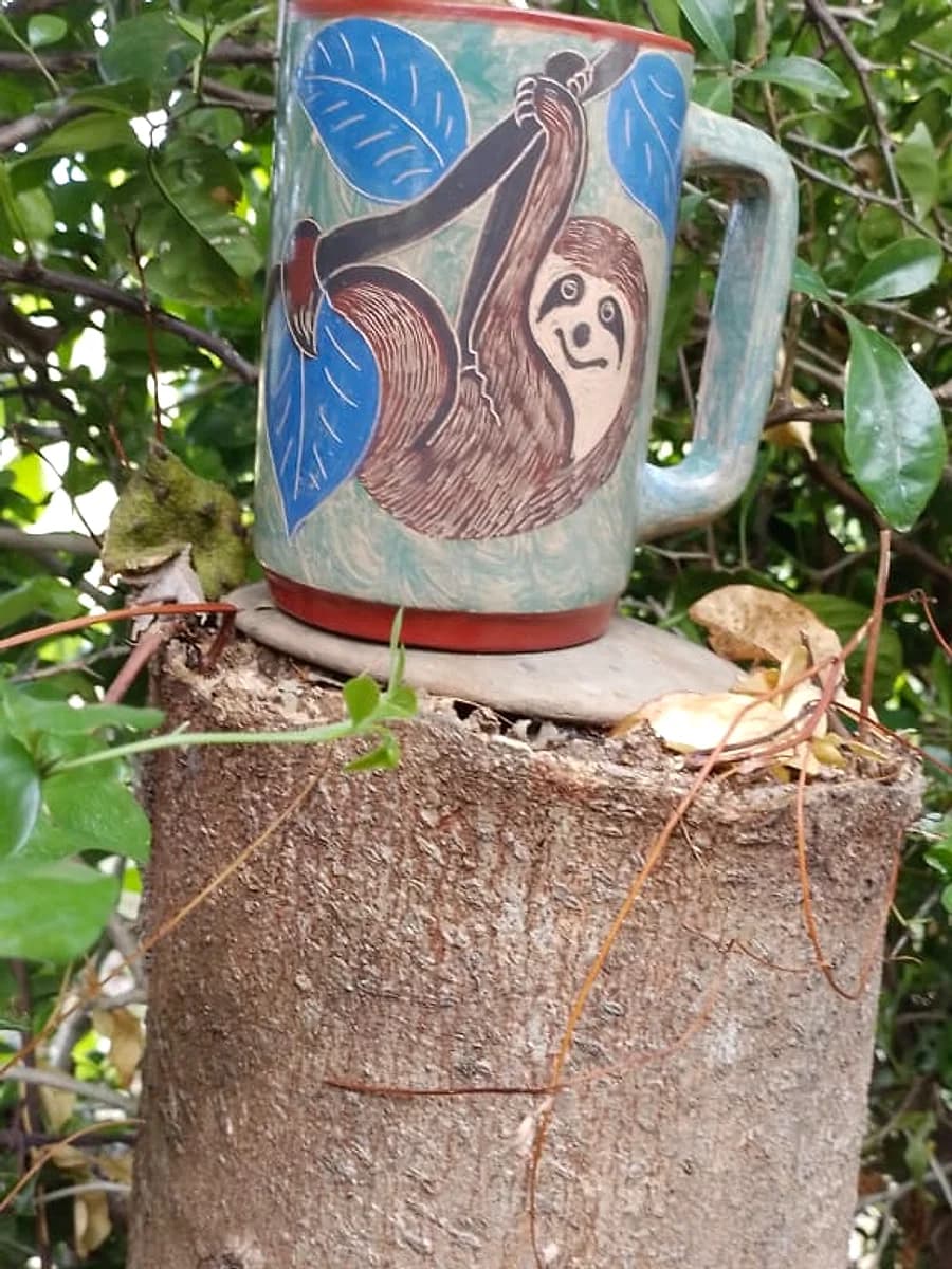Taza de la Mariposa Morpho