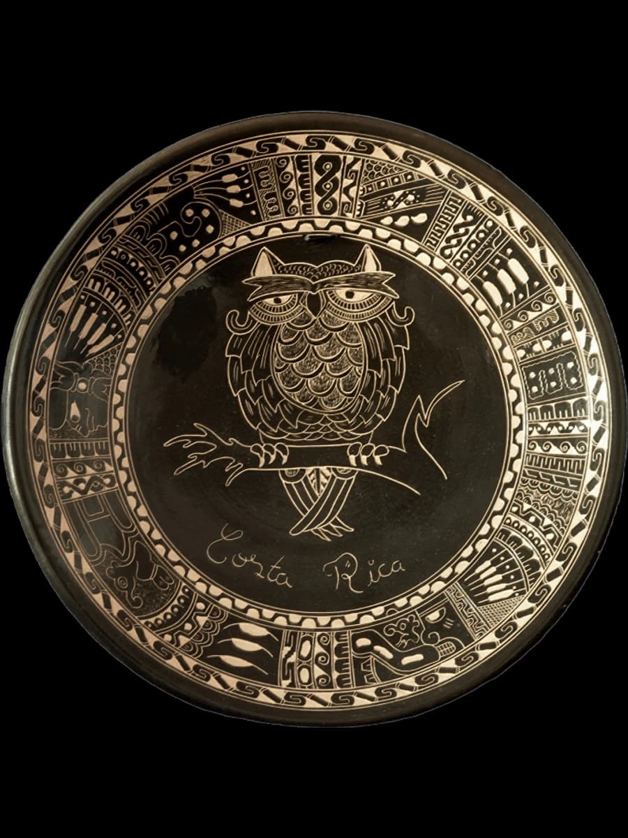 Plato del Búho Sabio